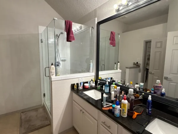Before: primary bathroom remodel in McKinney, TX (photo 3)