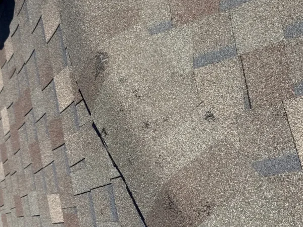 Before: hail-creased and lifted shingles on the old roof in Melissa, TX