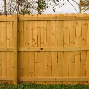 picture of privacy fence