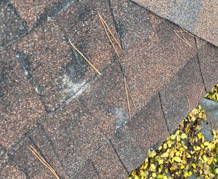 picture of aging roof